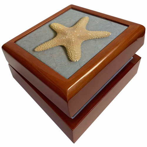 Starfish Shell, Jewelry Box jb-26134-1