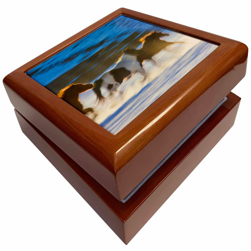 USA, Wyoming, Shell, Big Horn Mountains, Horses - US51 TEG0055 - Terry Eggers, Jewelry Box jb-149079-1