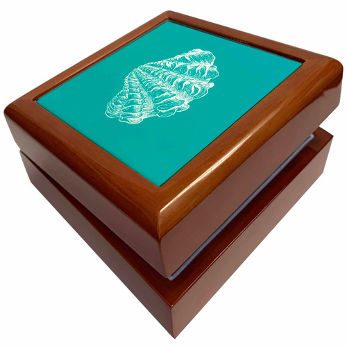 Teal Blue seashell etching print Modern Sea shell clam beach ocean, Jewelry Box jb-164973-1