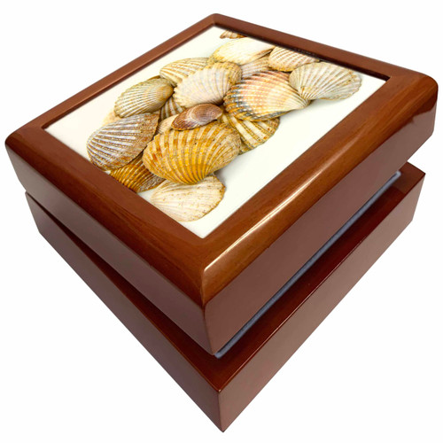 Sea Shells by the Sea Shore - Summer - Beach Theme, Jewelry Box jb-50550-1