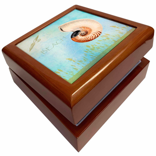 Beautiful Shell Aqua Beach Theme Art, Jewelry Box jb-79345-1