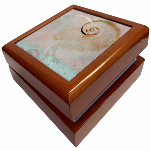Mystical Dolphins with Shell - Beach Themed Art, Jewelry Box jb-108746-1