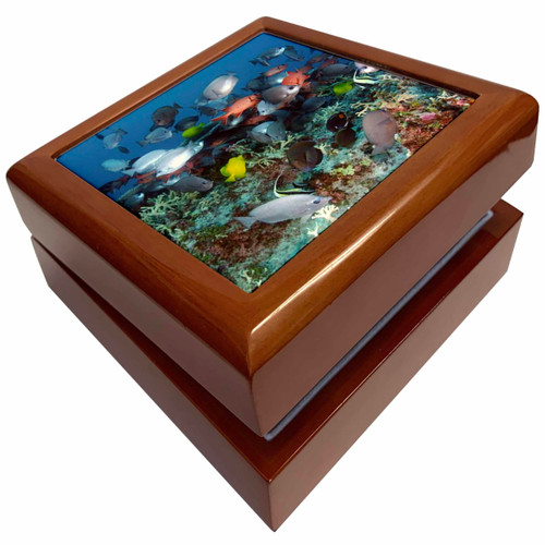 Tropical Coral Reef Fish, Jewelry Box jb-44933-1