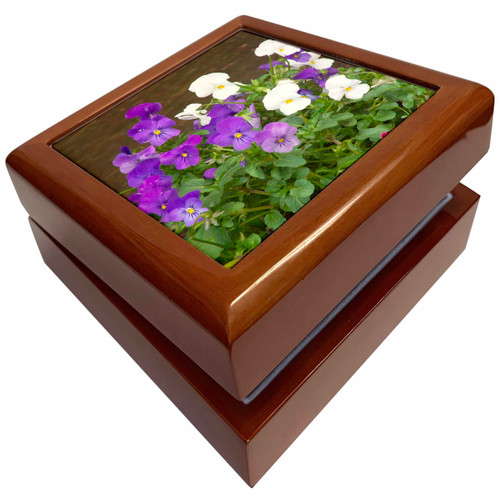 Violets, Jewelry Box jb-19176-1