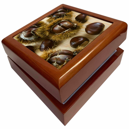 Sweet Chestnuts, spiny shell, cuisine - LI11 NTO0045 - Nico Tondini, Jewelry Box jb-140041-1