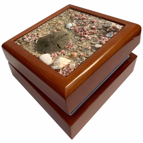 Photo of Sand Dollar and Shells, Beach in Oman, Photo by Rhonda Albom, Jewelry Box jb-164781-1