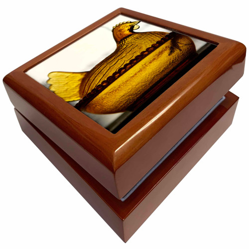 Route 66, Oro Grande, California, USA - US05 JMR0037 - Julien McRoberts, Jewelry Box jb-142757-1