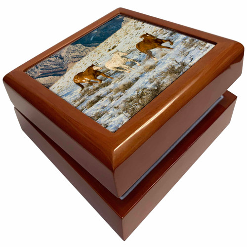 USA, Wyoming, Shell, Horses Running in Snow - US51 TEG0027 - Terry Eggers, Jewelry Box jb-149056-1