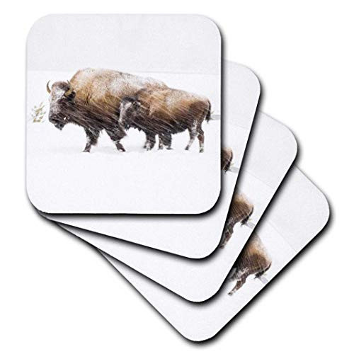3dRose cst_279809_3""USA, Wyoming, Yellowstone National Park. Bison in winter." Ceramic Tile Coasters, Set-of-4, Clear