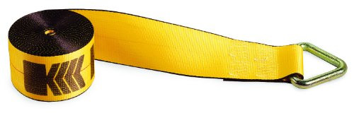Kinedyne 425010 4" x 50" Winch Strap with Delta Ring