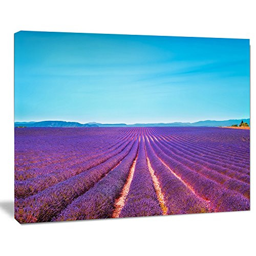 Designart PT11357-20-12 Lavender Flowers and Clear Sky-Oversized Landscape Wall Art Print-20x12, 12" H x 20" W x 1" D 1P