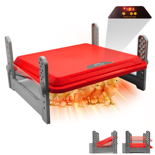 Brooder Heater for Chicks, Chicken Heating Plate Adjustable Temperature LCD Display and Height, Poultry Coop Heater Baby Chicks Warmer - 12" x 12" for 20 Chicks, 65W