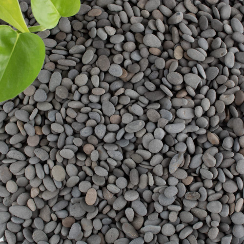 Black Rock, 18lb River Rocks Pebbles for Plants Succulents, Decorative Outdoor Landscaping Garden Rocks, Natural Small Mexican Beach Pebbles Aquarium Rocks Gravel for Fish Tanks Vase Yard Decor Black Rock, 18lb River Rocks Pebbles for Plants Succulents, Decorative Outdoor Landscaping Garden Rocks, Natural Small Mexican Beach Pebbles Aquarium Rocks Gravel for Fish Tanks Vase Yard Decor