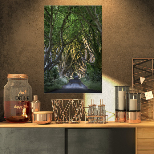PT8742-16-32 The Dark Hedges-Landscape Photography Canvas Art Print-16x32, 16x32, Green PT8742-16-32 The Dark Hedges-Landscape Photography Canvas Art Print-16x32, 16x32, Green