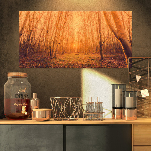 PT9754-32-16 Sunrise in a Forest with Tall Trees Landscape Photo Canvas Print, 32x16, Yellow PT9754-32-16 Sunrise in a Forest with Tall Trees Landscape Photo Canvas Print, 32x16, Yellow