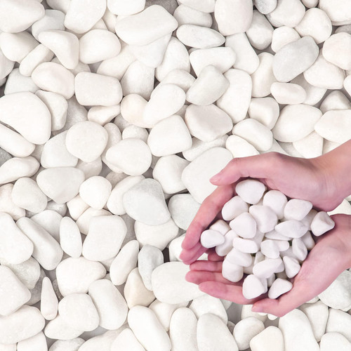 20Ib White River Rock- Decorative Pebbles for Plants - River Rocks Outdoor Landscaping- 0.3"-0.8" inch Polished Stones for Aquarium, Terrarium,Vases, Home Decor 20Ib White River Rock- Decorative Pebbles for Plants - River Rocks Outdoor Landscaping- 0.3"-0.8" inch Polished Stones for Aquarium, Terrarium,Vases, Home Decor