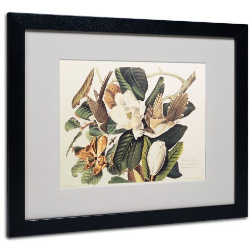 Black-Billed Cuckoo Matted Artwork by John James Audubon with Black Frame, 16 by 20-Inch