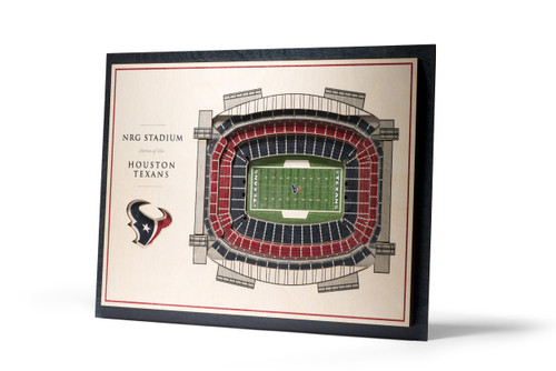 NFL 5-Layer 17 x 13 StadiumViews 3D Wall Art