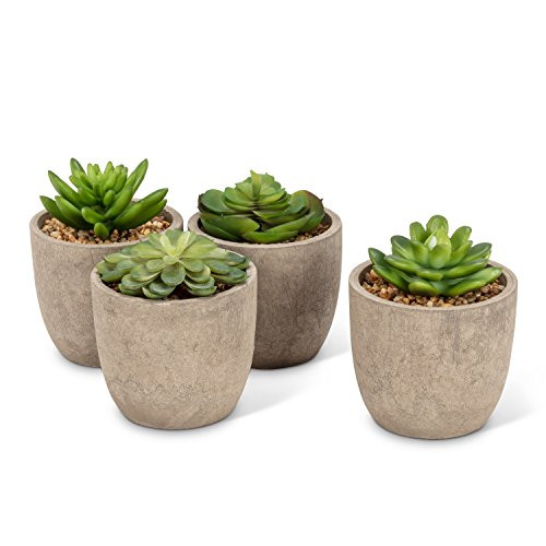 Abbott Collection 27-MOJAVE/11 Succulents in Pot (Set of 4), Grey