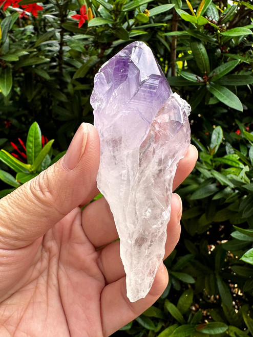 Wholesale Amethyst Points, 2-3" Natural Amethyst Points, Raw Amethyst Points Healing Crystals (Amethyst Points, 10 Points)