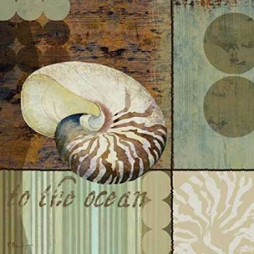 Contemporary Shell II Poster Print by Paul Brent, (24 x 24)