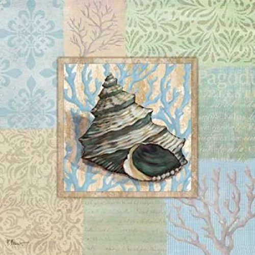 Oceanic Shell Collage II Poster Print by Paul Brent, (24 x 24)