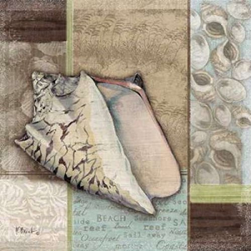 Santa Rosa Shell I Poster Print by Paul Brent, (24 x 24)