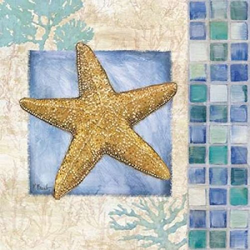 Mosaic Shell Collage VI Poster Print by Paul Brent (24 x 24)