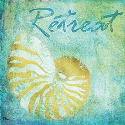 Caribbean Shells I Poster Print by Paul Brent, (24 x 24)
