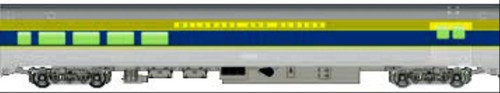 Walthers HO Scale 85' Budd Baggage-Lounge Passenger Car Delaware & Hudson/D&H