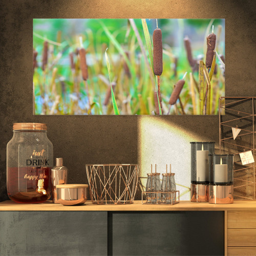 PT9127-32-16 The Reeds-Landscape Photography Canvas Art Print-32x16, 32x16, Green PT9127-32-16 The Reeds-Landscape Photography Canvas Art Print-32x16, 32x16, Green