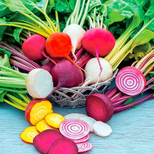 Beet Seeds - Rainbow Mix Non-GMO Seeds for Planting, 1/4 Pound | Low-Maintenance Vegetable Seeds, Plant During Warm Season, Zones 2, 3, 4, 5, 6, 7, 8, 9, 10