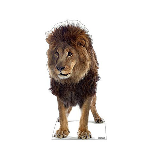 Advanced Graphics Lion Life Size Cardboard Cutout Standup Advanced Graphics Lion Life Size Cardboard Cutout Standup