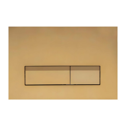 Dual Flush Actuator Plate with Square Buttons, Concealed Toilet Tank Carrier Push Button, Brushed Gold
