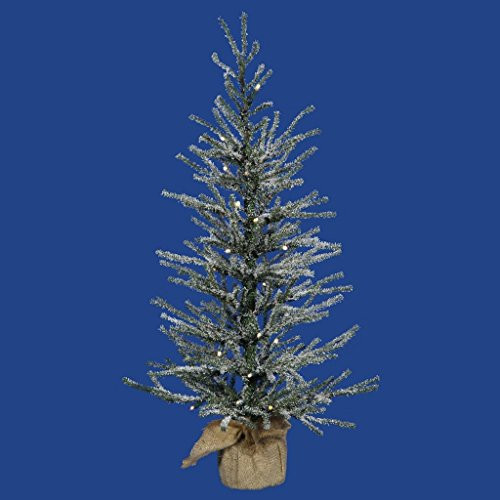 Vickerman B165131 Frosted Angel Pine Artificial Christmas Tree with 319 PVC tips & 35 Dura-Lit Mini Lights, 30" x 16", Clear