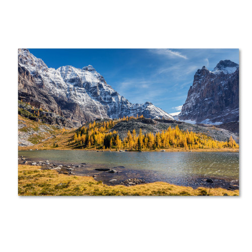Mountains and Glaciers by Pierre Leclerc, 12x19-Inch Canvas Wall Art