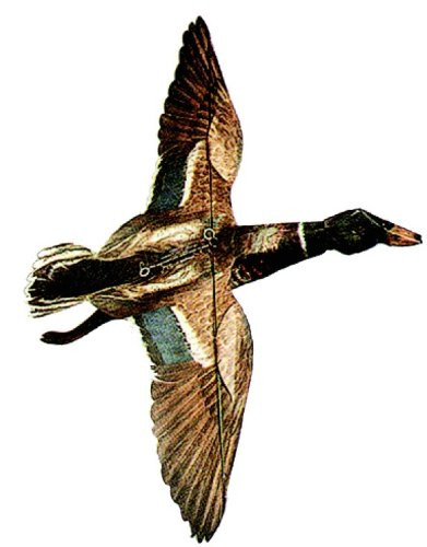 Inc. Mallard Drake Duck Decoy