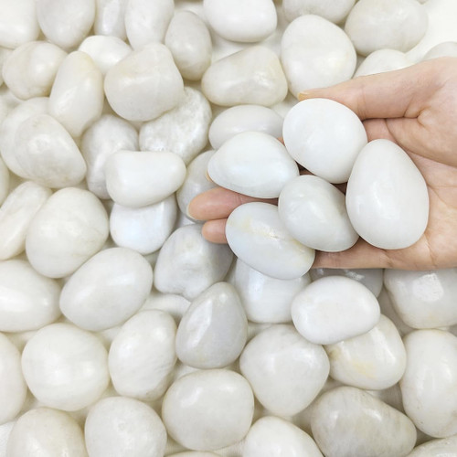 20lbs White Rocks for Gardens, 1-2 inch Decorative Pebbles for Plants Outdoor, White River Rocks for Landscaping, Indoor Plants, Planter, Aquarium, Vase and Bird Bath 20lbs White Rocks for Gardens, 1-2 inch Decorative Pebbles for Plants Outdoor, White River Rocks for Landscaping, Indoor Plants, Planter, Aquarium, Vase and Bird Bath