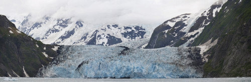 Panoramic View Of Surprise Glacier In Harriman Fjord Prince William Sound Southcentral Alaska Poster Print, (44 x 15) Panoramic View Of Surprise Glacier In Harriman Fjord Prince William Sound Southcentral Alaska Poster Print, (44 x 15)