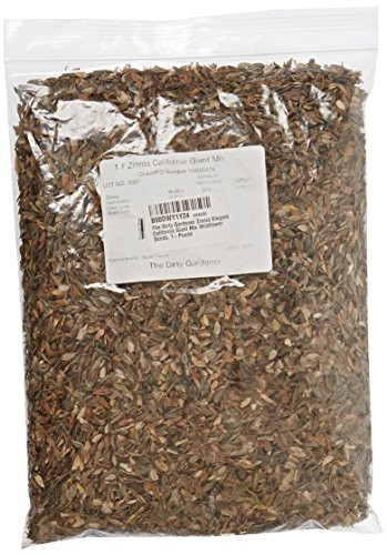 The Dirty Gardener Zinnia Elegans California Giant Mix Wildflower Seeds, 1-Pound