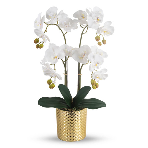 Artificial Orchid Flowers Potted in Ceramic Pot, White Faux Phalaenopsis Orchids for Table Centerpiece, Realistic Fake Flower in vase for Home Office Decor Indoor Artificial Orchid Flowers Potted in Ceramic Pot, White Faux Phalaenopsis Orchids for Table Centerpiece, Realistic Fake Flower in vase for Home Office Decor Indoor