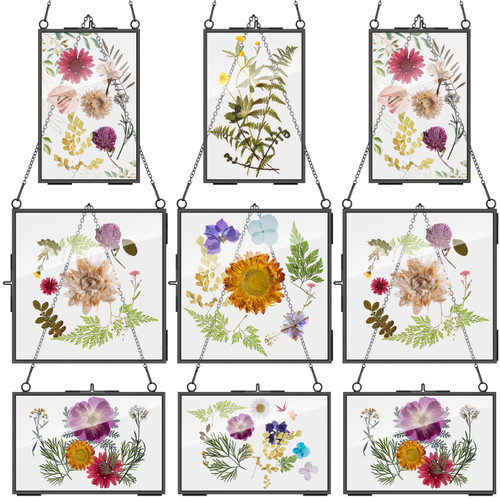 9 Pcs Glass Frame for Pressed Flowers 6x4 4x6 6x6 in Hanging Picture Frames Black Floating Pressed Flower Frame Double Glass Display Frame with Chain for Dried Flower Plant Specimen Wall Decor