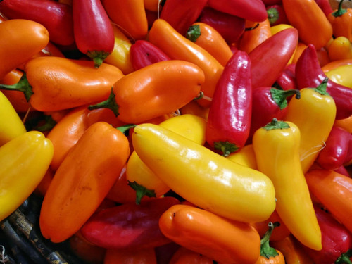Heirloom Santa Fe Grande Pepper Seeds - Capsicum annuum - 120 Seeds, 1 Gram - B139 Heirloom Santa Fe Grande Pepper Seeds - Capsicum annuum - 120 Seeds, 1 Gram - B139