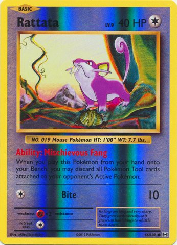 - Rattata (66/108) - XY Evolutions - Reverse Holo