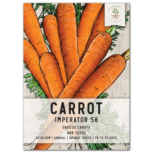 , Imperator 58 Carrot Seeds for Planting (Daucus carota) Single Package of 800 Seeds - Heirloom, Non-GMO & Untreated , Imperator 58 Carrot Seeds for Planting (Daucus carota) Single Package of 800 Seeds - Heirloom, Non-GMO & Untreated