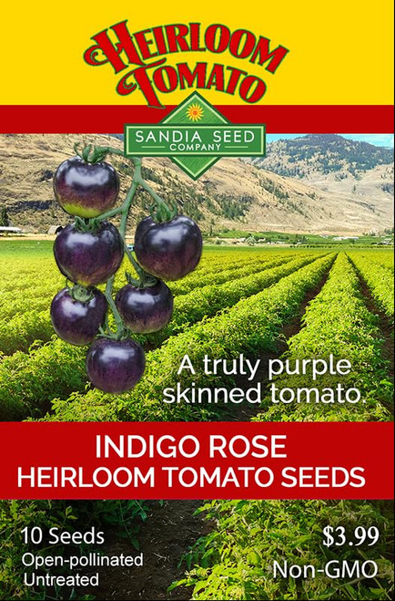 Indigo Rose Heirloom Tomato 10 Seed Indigo Rose Heirloom Tomato 10 Seed