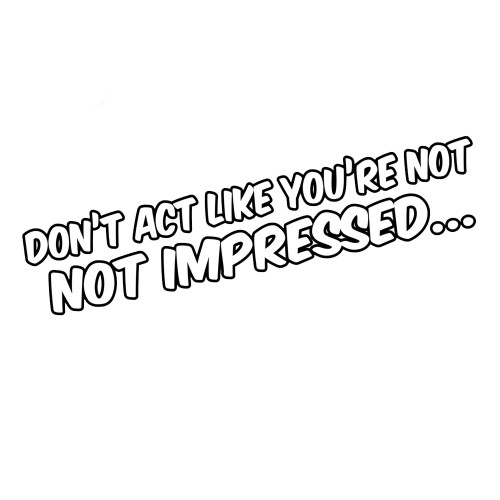 Ron Burgundy Quote Don't Act Like You're Not Impressed 8" Vinyl Sticker Car Decal (8" Black)