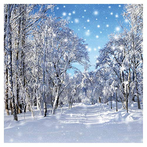 WOLADA 10x10ft Christmas Backdrops for Photography Vinyl Fabric Tree Blue Sky Background Snow Winter Photo Backdrops for Child and Party Photo Background Props 11364