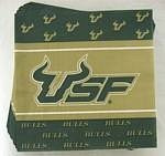 NCAA South Florida Bulls 16-Count Luncheon Napkins -