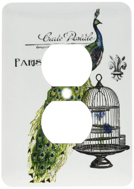 3dRose lsp_178821_6 Paris Peacock on Bird Cage Light Switch Cover